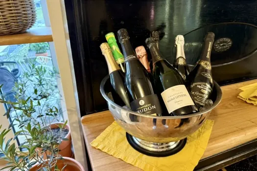 Neřízená Degustace