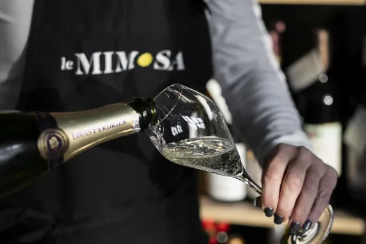 Degustace: Letní vína Francie